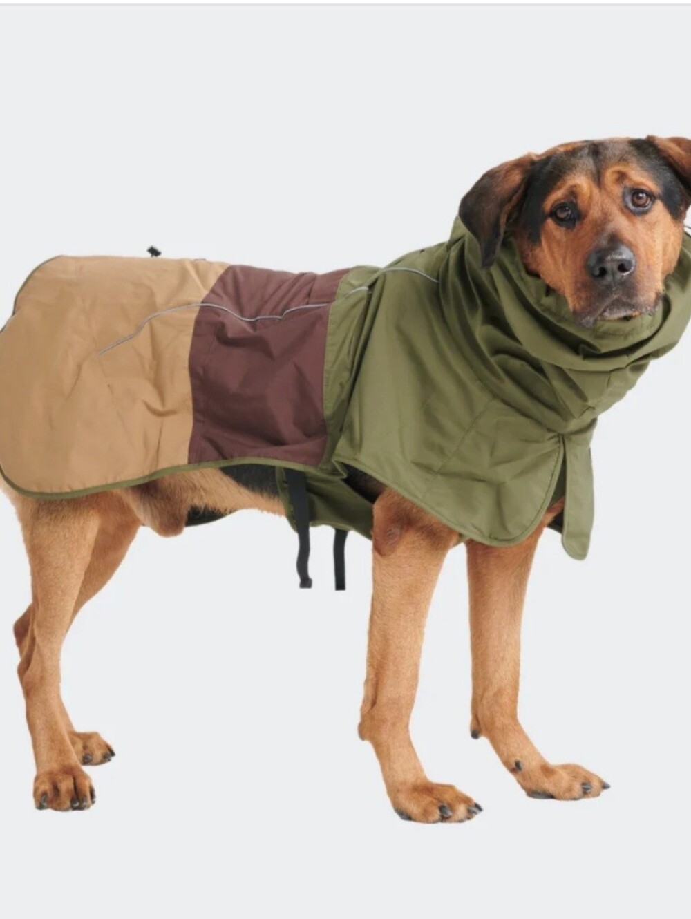 Spark Paws Dog Raincoat